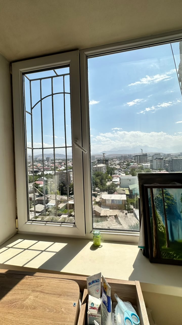 Элитка, 102 м2, этаж 10/12, Сост: Хорошее - фото 11