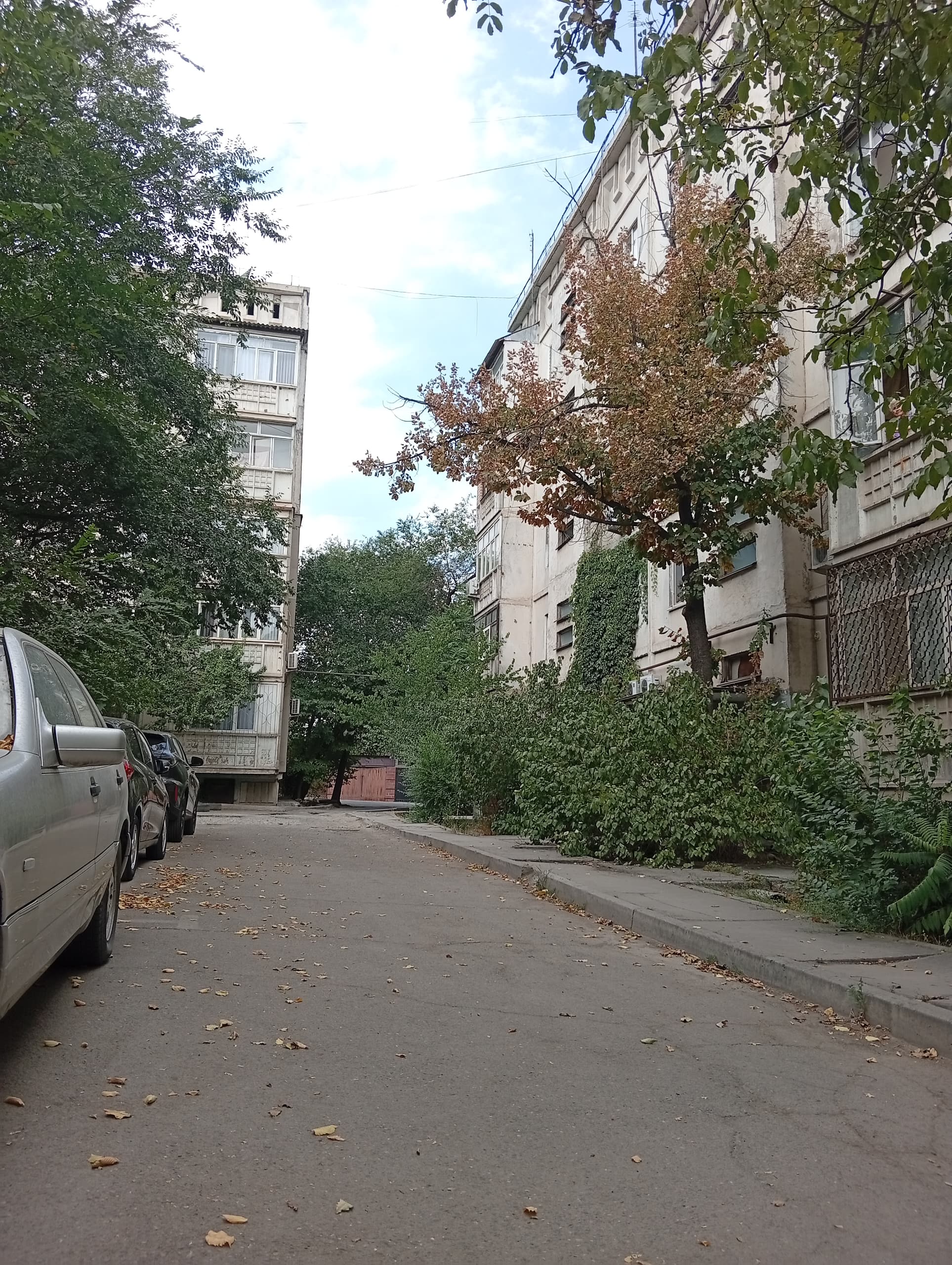 1 ком, 105 серия, 33 м2, этаж 5/5, Сост: Среднее - фото 5