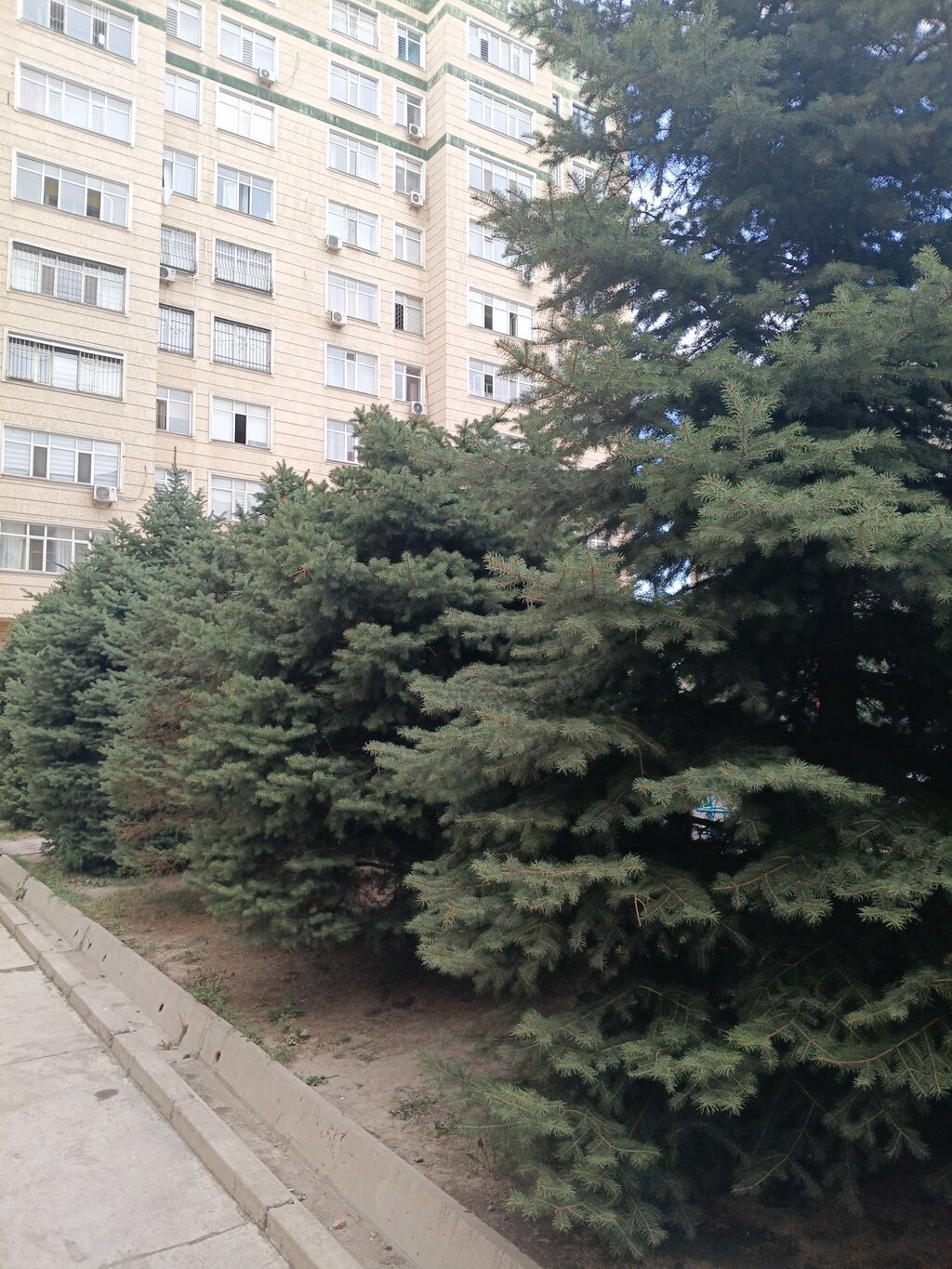 Элитка, 4 ком, 110 м2, этаж 7/10, Сост: Евроремонт - фото 19