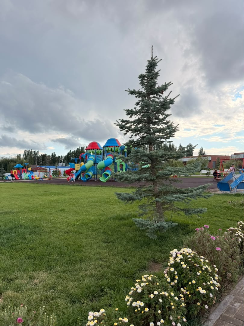 Элитка, 1 ком, 57 м2, этаж 1/3, ж/к Alpha White Resort, Сост: Сдан ПСО - фото 3
