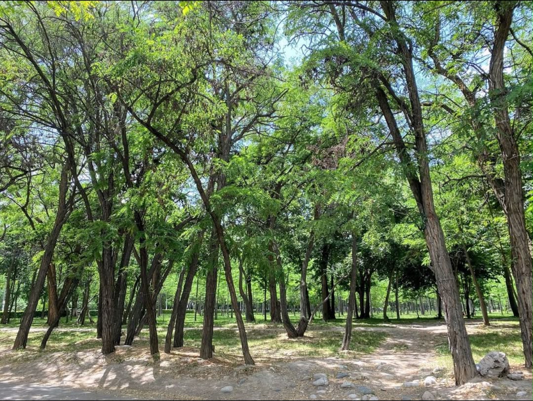1 ком, 104 серия, 32 м2, этаж 2/4, Сост: Хорошее - фото 8