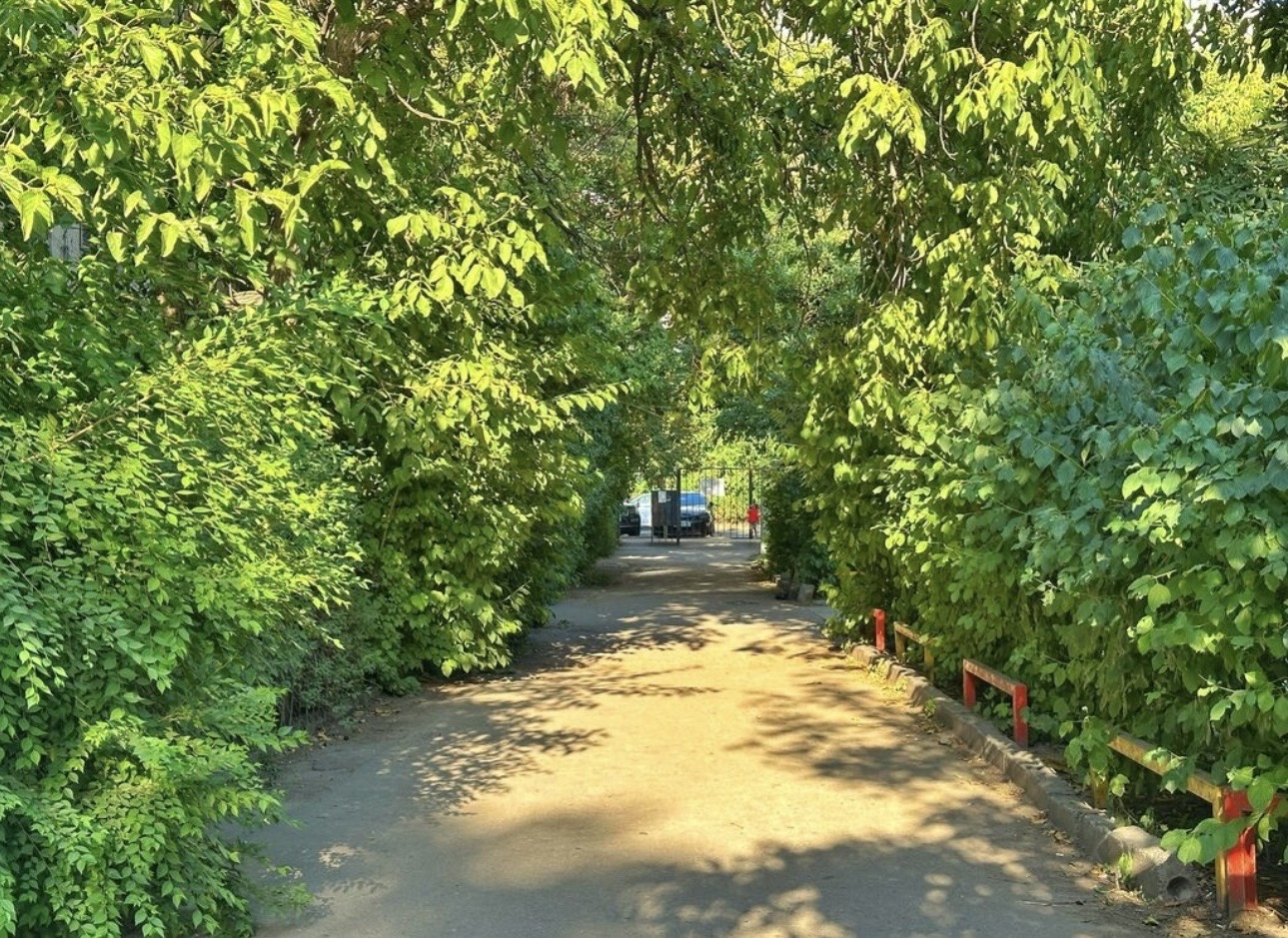 3 ком, 104 серия, 58 м2, этаж 2/5, Сост: Хорошее - фото 3