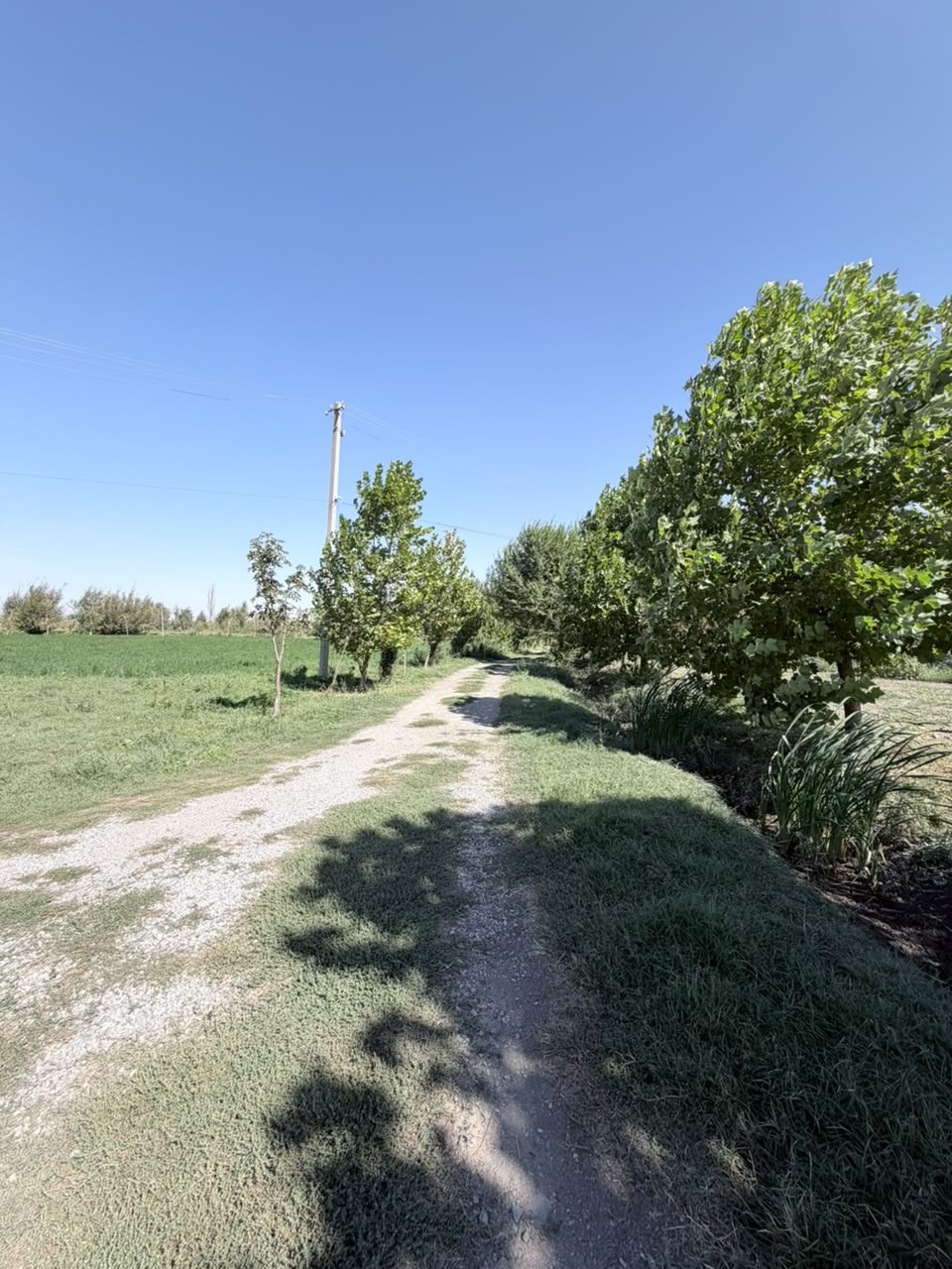 Земельные участки, Коммерческая, 25000 м2 - фото 2