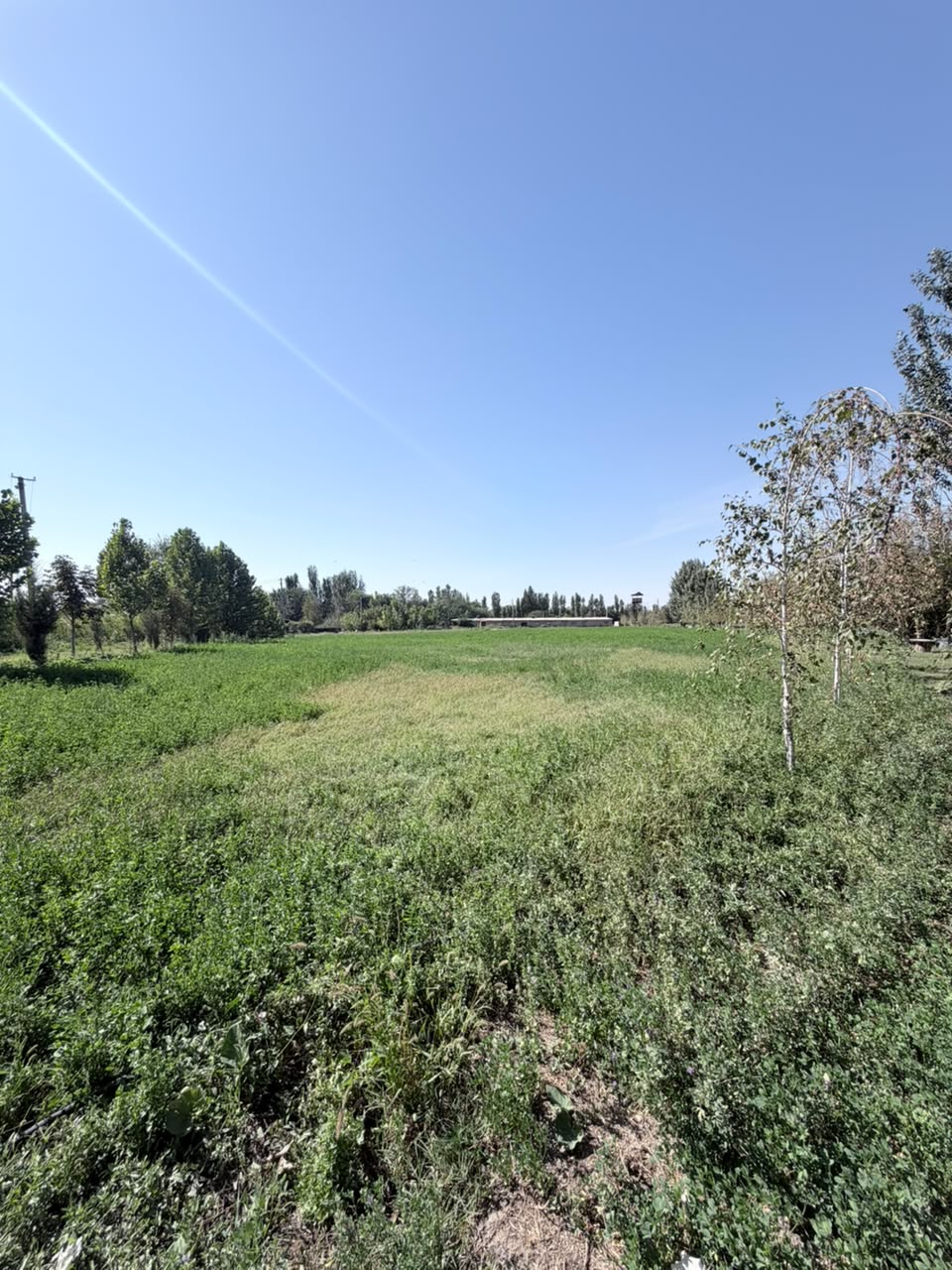 Земельные участки, Коммерческая, 25000 м2 - фото 3