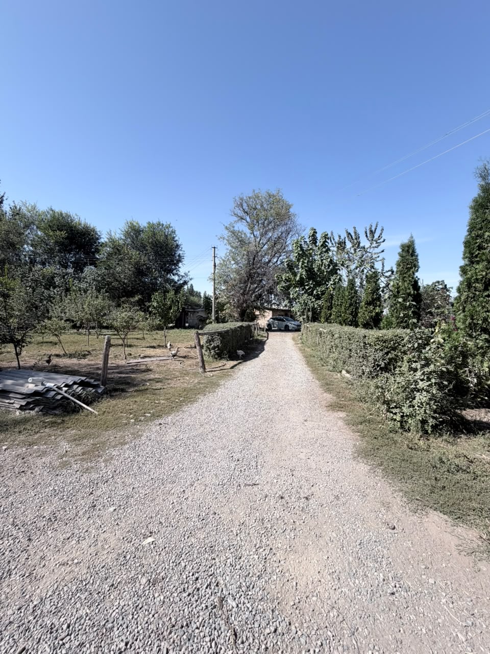 Земельные участки, Коммерческая, 25000 м2 - фото 10
