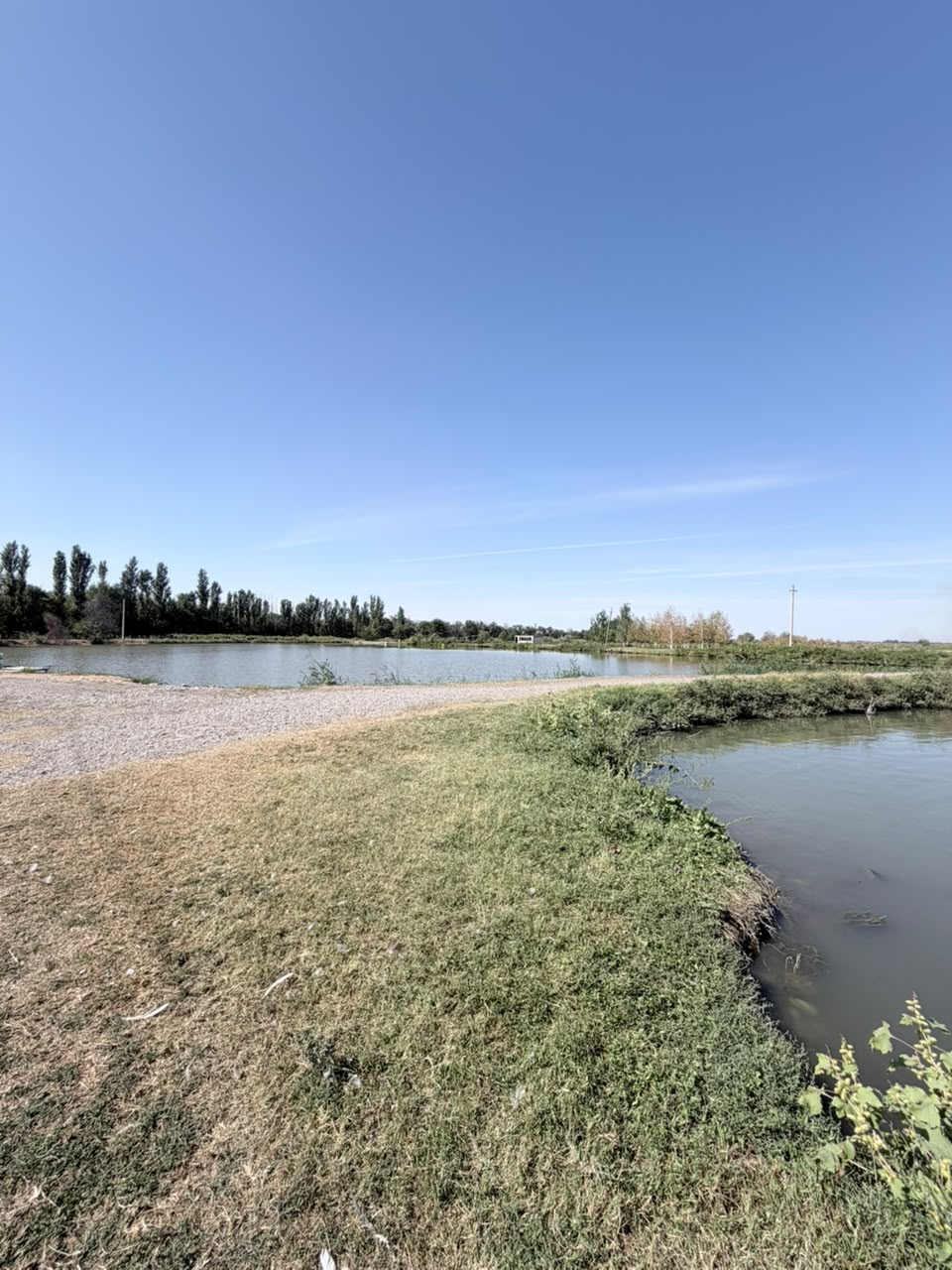 Земельные участки, Коммерческая, 25000 м2 - фото 11
