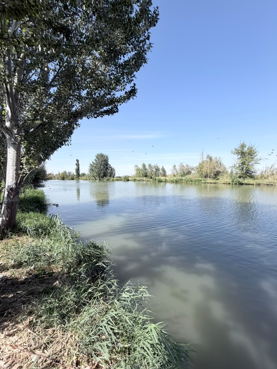 Земельные участки, Коммерческая, 25000 м2 - фото 12