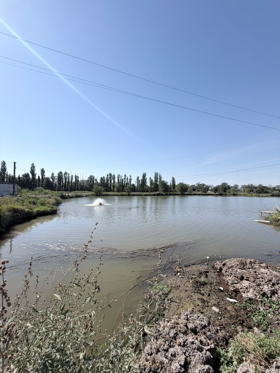 Земельные участки, Коммерческая, 25000 м2 - фото 17