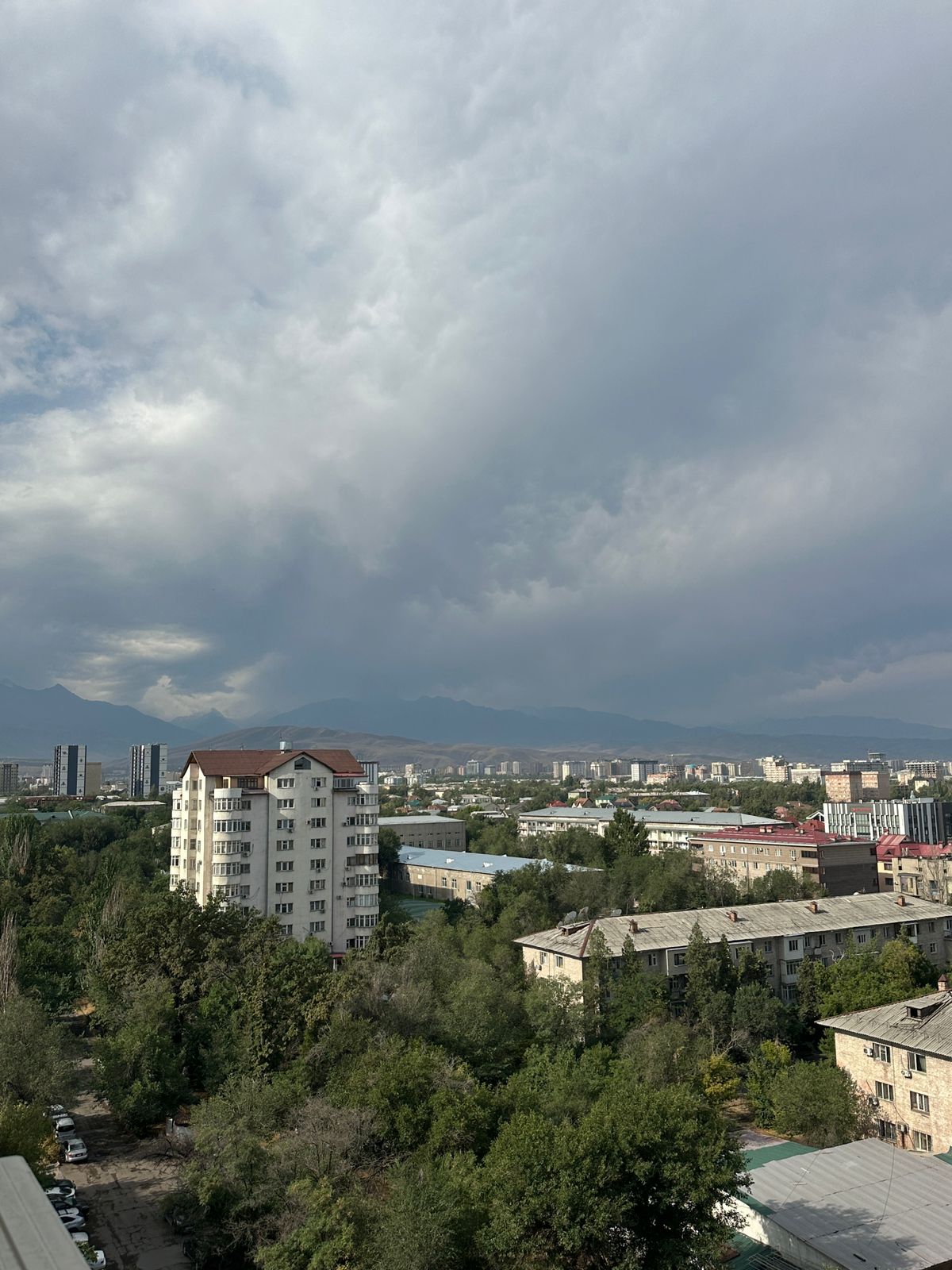 Элитка, 80 м2, этаж 10/12, ж/к Панорама (Горького/Фатьянова), Сост: Евроремонт - фото 2