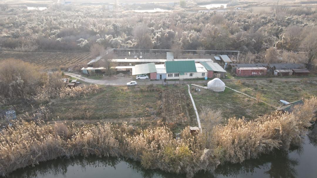 Участок, 600 соток - фото 2