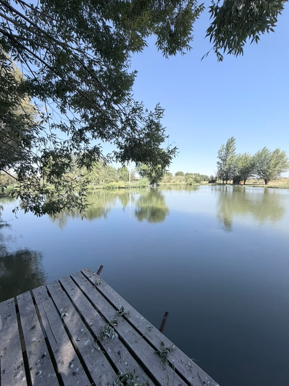Земельные участки, Коммерческая, 2500 м2, этаж 1/1 - фото 1