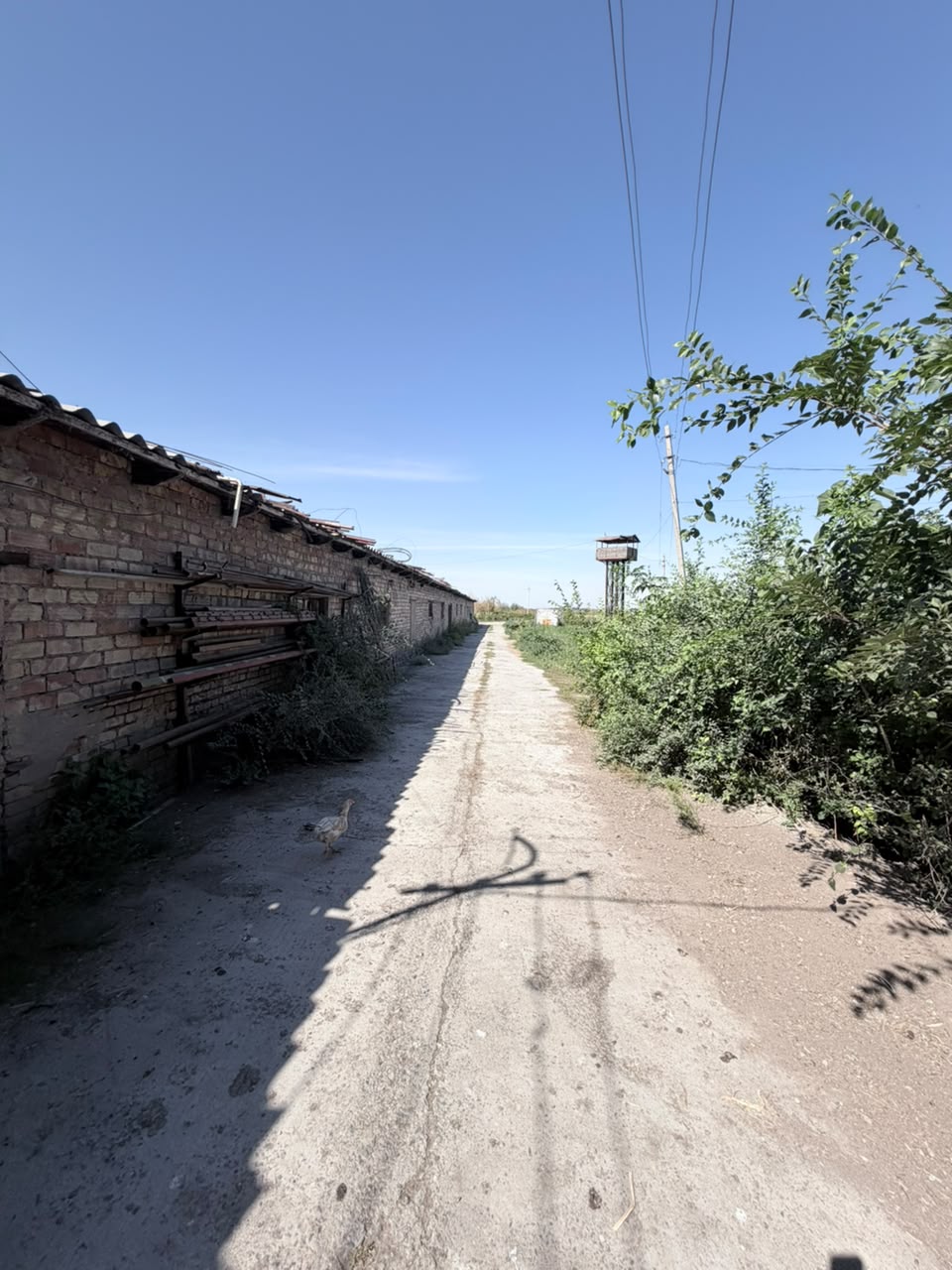 Земельные участки, Коммерческая, 2500 м2, этаж 1/1 - фото 7