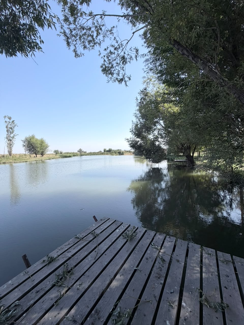 Земельные участки, Коммерческая, 2500 м2, этаж 1/1 - фото 19