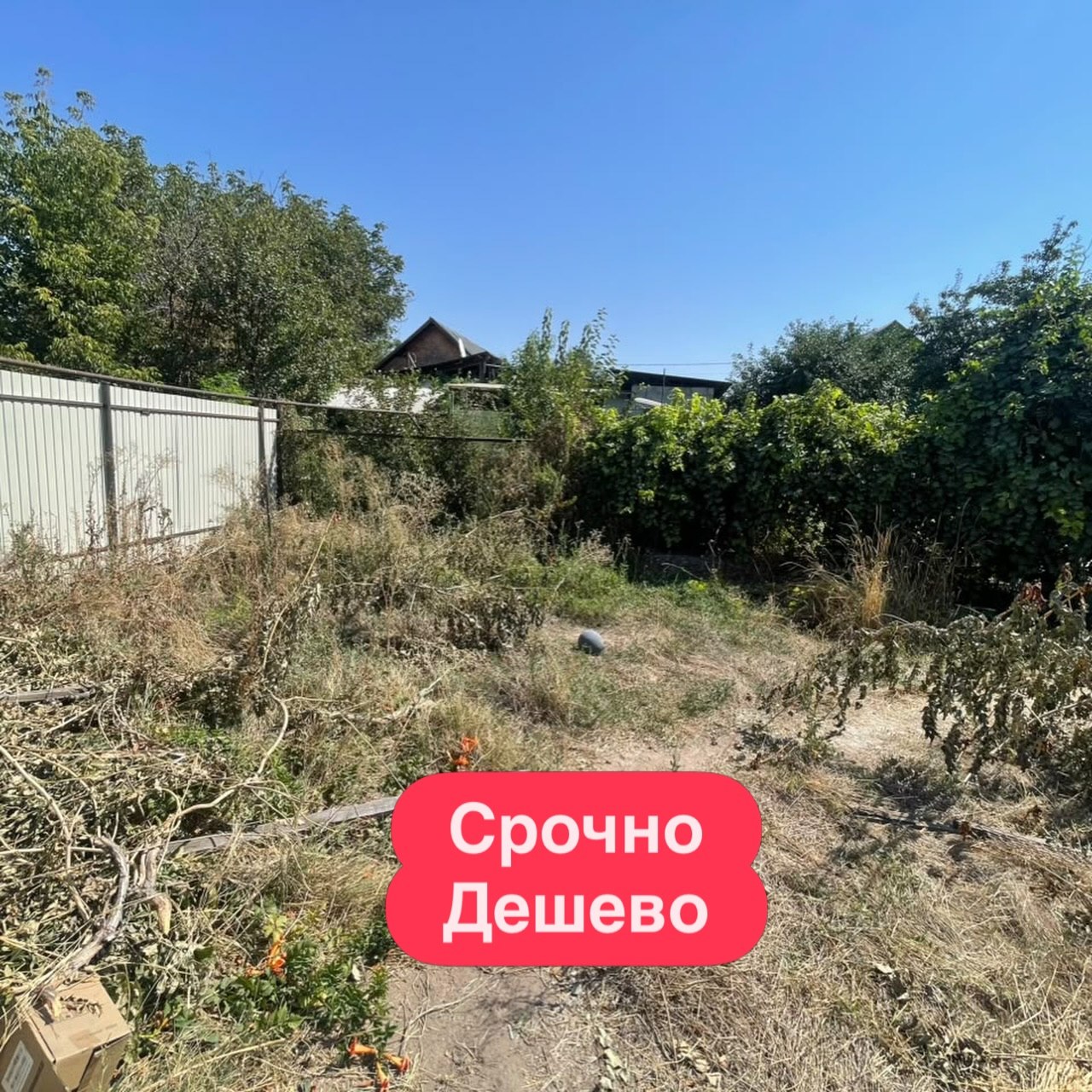 Участок, 3 соток - фото 1