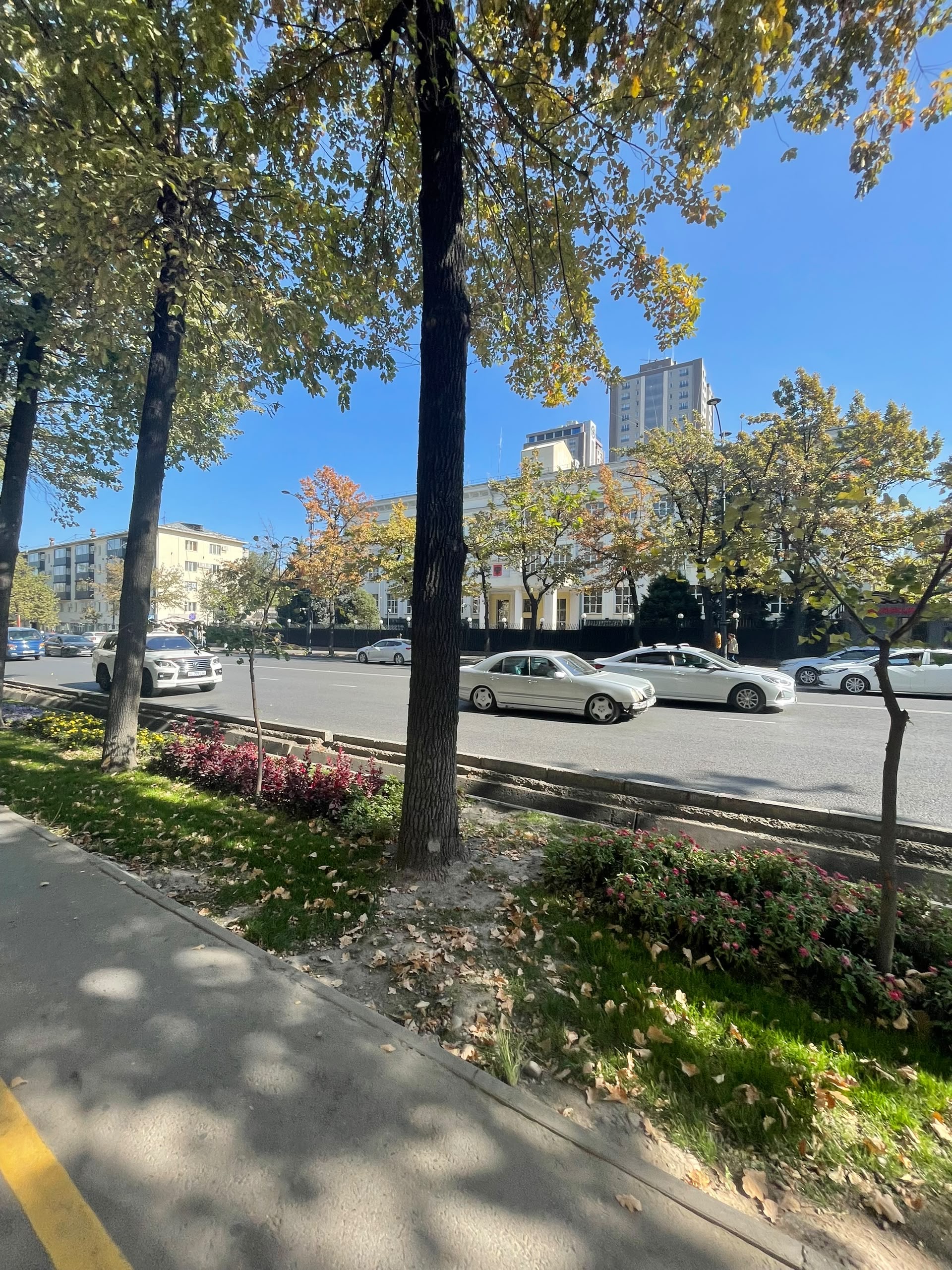 2 ком, Сталинка, 45 м2, этаж 2/2, Сост: Хорошее - фото 24