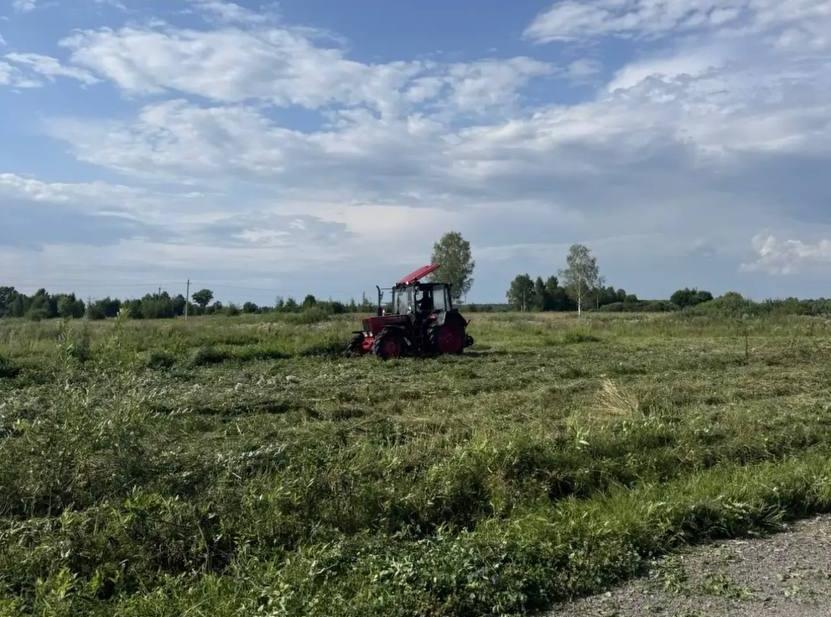 В Торбеево ИЖС косят траву