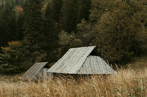blog