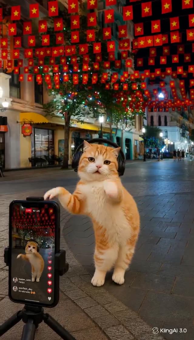 Танцующий кот
