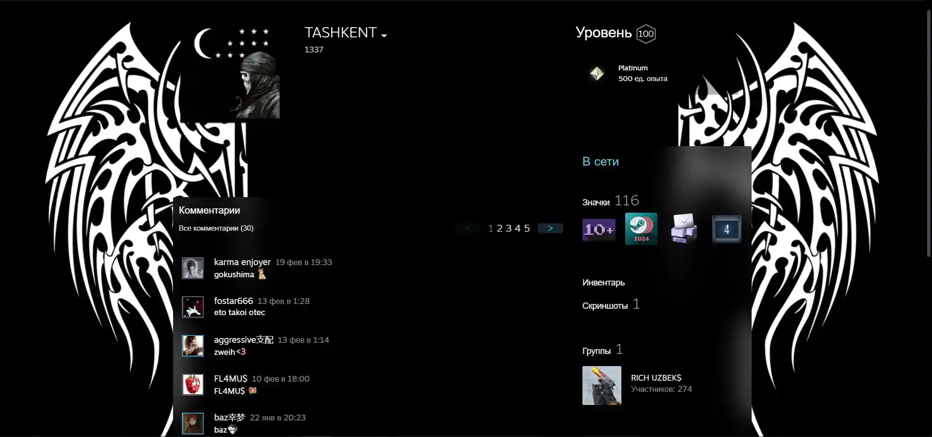 STEAM account (CS2+FACEIT)