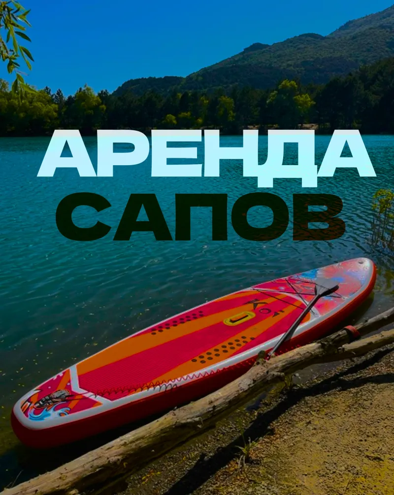 Сап борд у берега, большая ветка лежит на берегу рядом с сапом. По центру фото надпись «Аренда сапов». Вдали много зеленых деревьев