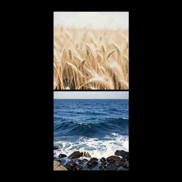 Обложка трека Моя Кубань!