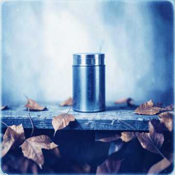 Обложка трека Autumn Folding Into Us