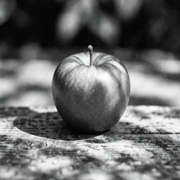 Обложка трека The forbidden fruit