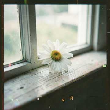Обложка трека Tenderness