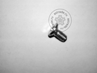 Screw M8x12