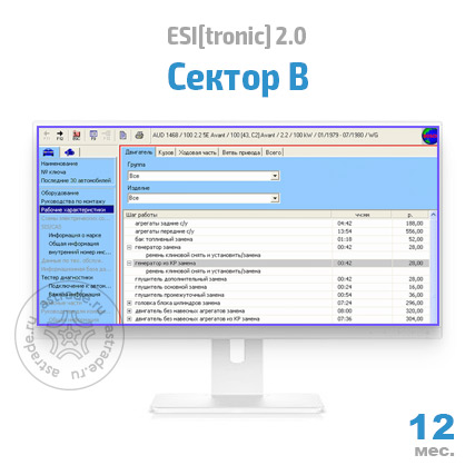Сектор B: подписка на 12 мес.