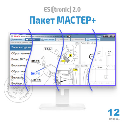 Пакет "МАСТЕР+" (SD, SIS, M, P, TSB, EBR): подписка на 12 мес.
