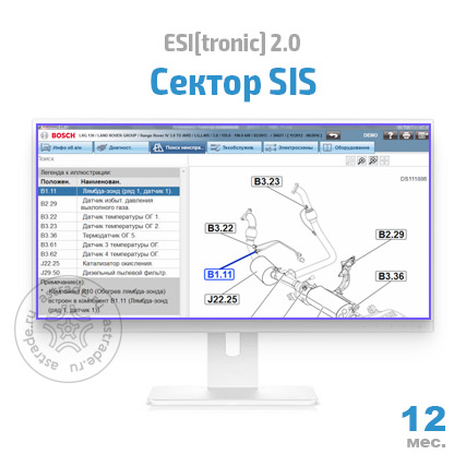 Сектор SIS: подписка на 12 мес.