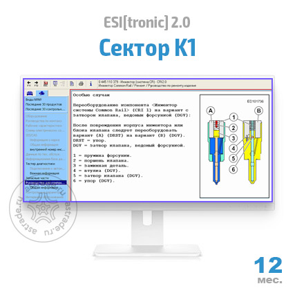 Сектор K1: подписка на 12 мес.