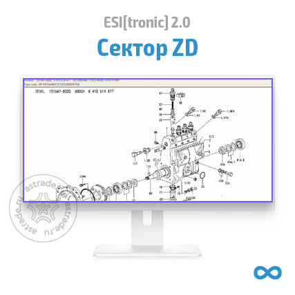 Сектор ZD: неограниченная подписка