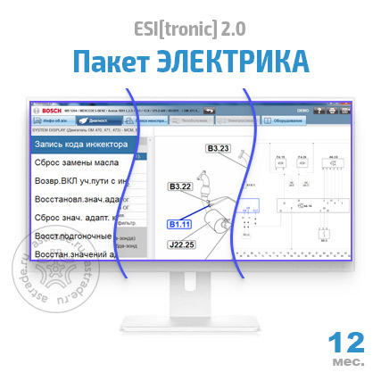 Пакет "ЭЛЕКТРИКА" (SD, SIS, P, TSB): подписка на 12 мес.
