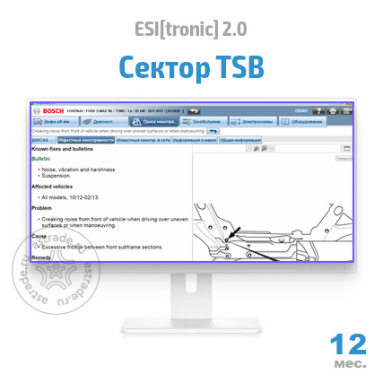 Сектор TSB: подписка на 12 мес.