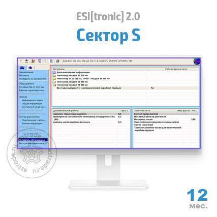 Сектор S: подписка на 12 мес.