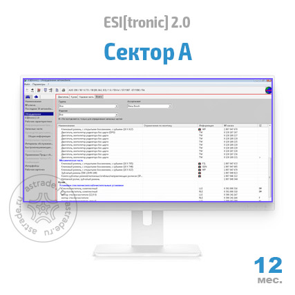 Сектор A: подписка на 12 мес.
