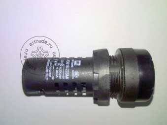 Buzzer