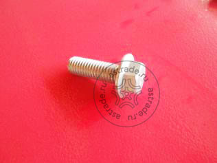 Screw M10x30