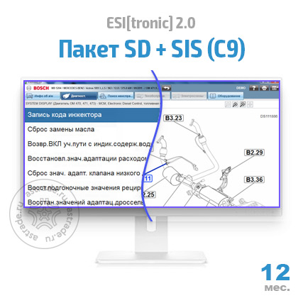 Пакет SD + SIS (С9): подписка на 12 мес.