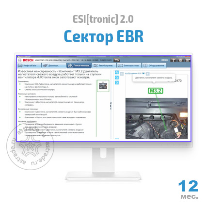 Сектор EBR: подписка на 12 мес.
