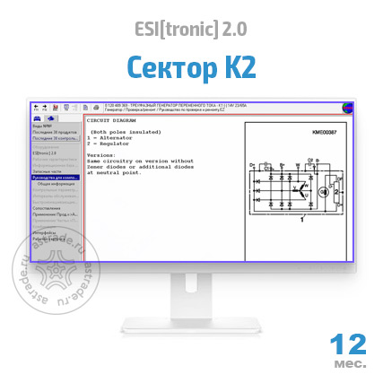 Сектор K2: подписка на 12 мес.