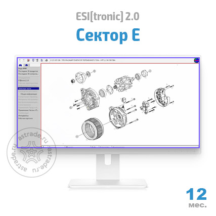 Сектор E: подписка на 12 мес.