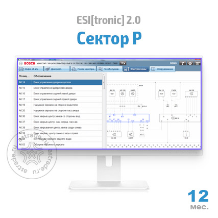 Сектор P: подписка на 12 мес.
