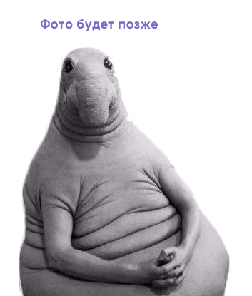 Зонд MTC45701