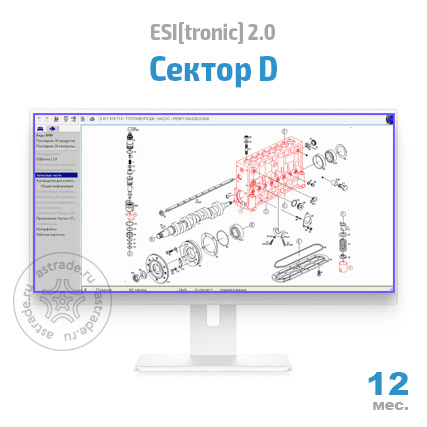 Сектор D: подписка на 12 мес.