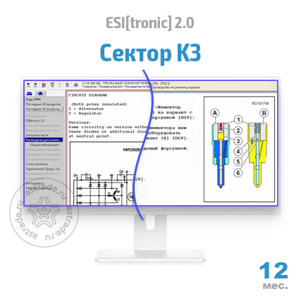 Сектор K3: подписка на 12 мес.
