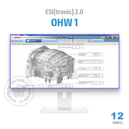 Сектор OHW 1: подписка на 12 мес.