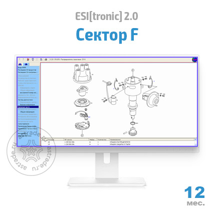 Сектор F: подписка на 12 мес.
